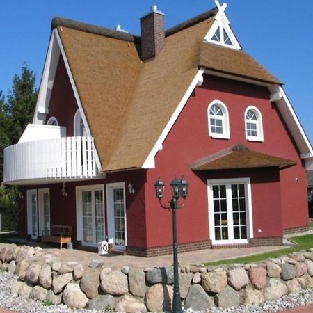 Ostseemuschel Zingst Luaran gambar